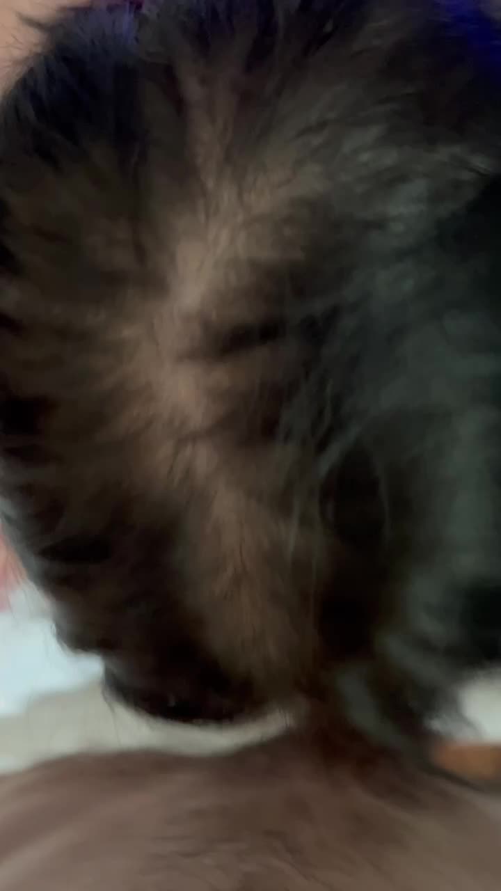 86.mp4
